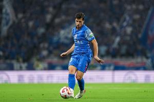 疑似吐口水！大连英博球迷呼吁俱乐部上诉申花外援特谢拉